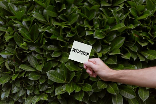 Innovative Trends Shaping the Future of Outdoor Marketing